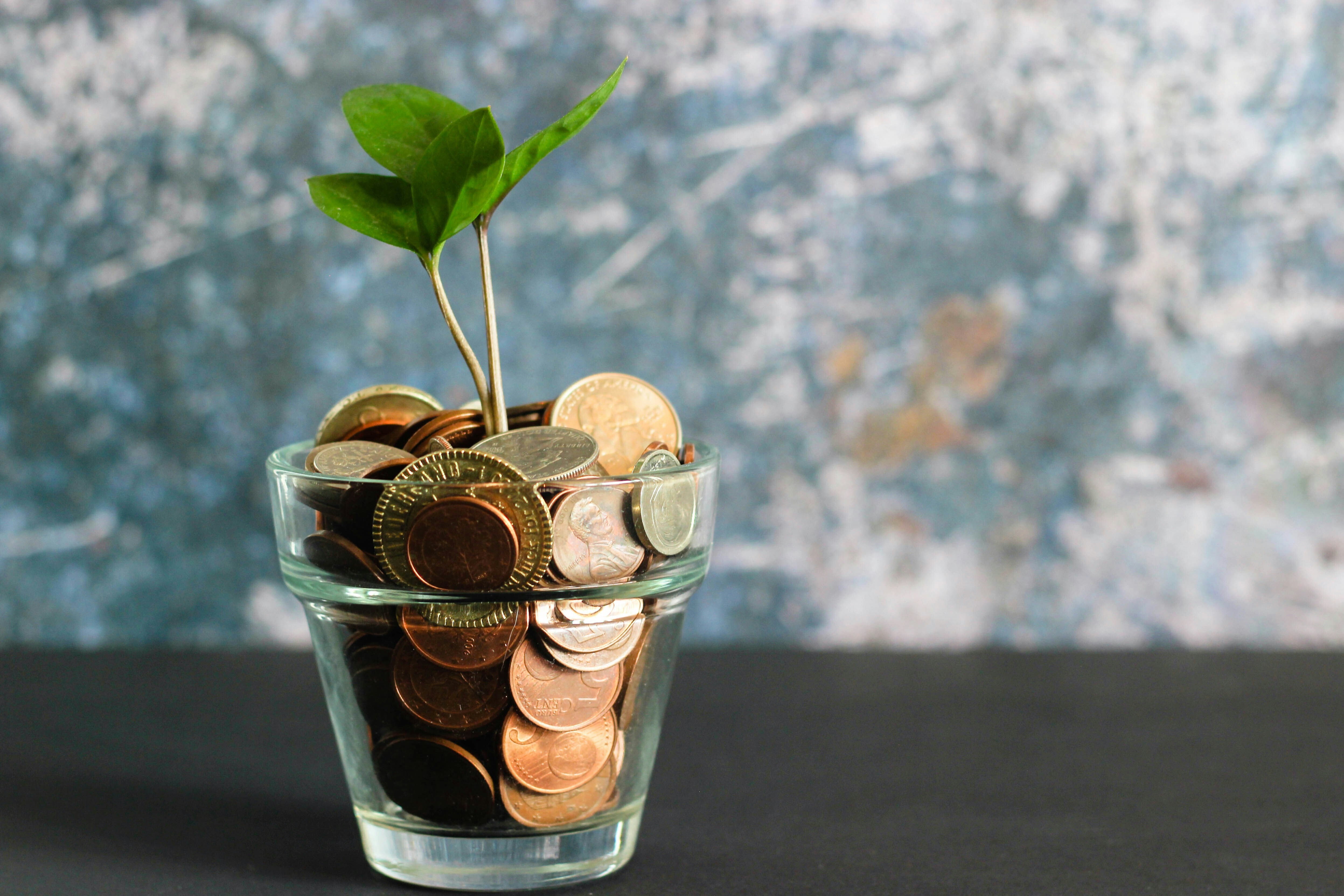 A plant growing from a pot of coins, illustrating pension funds investing in the green economy
