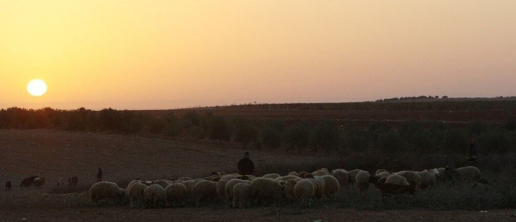 ISIS後の中東計画に向けた5つの原則