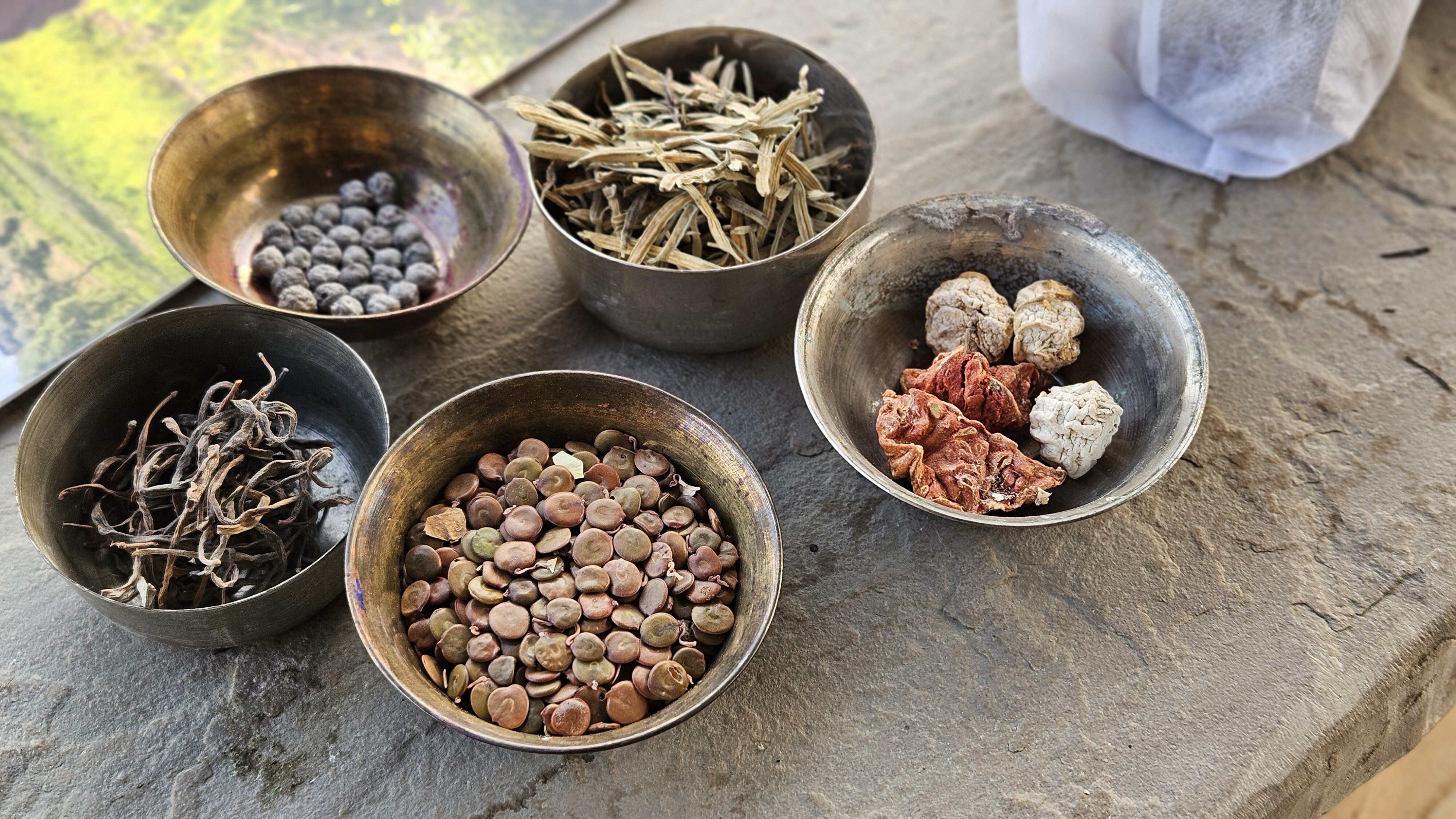 Wild foods from Rajasthan, India. Ker (wild berries), Desi Guar (cluster beans), Kaachra (wild melon), Kumatiya (seeds from a wild pod), and Sangri (wild beans).