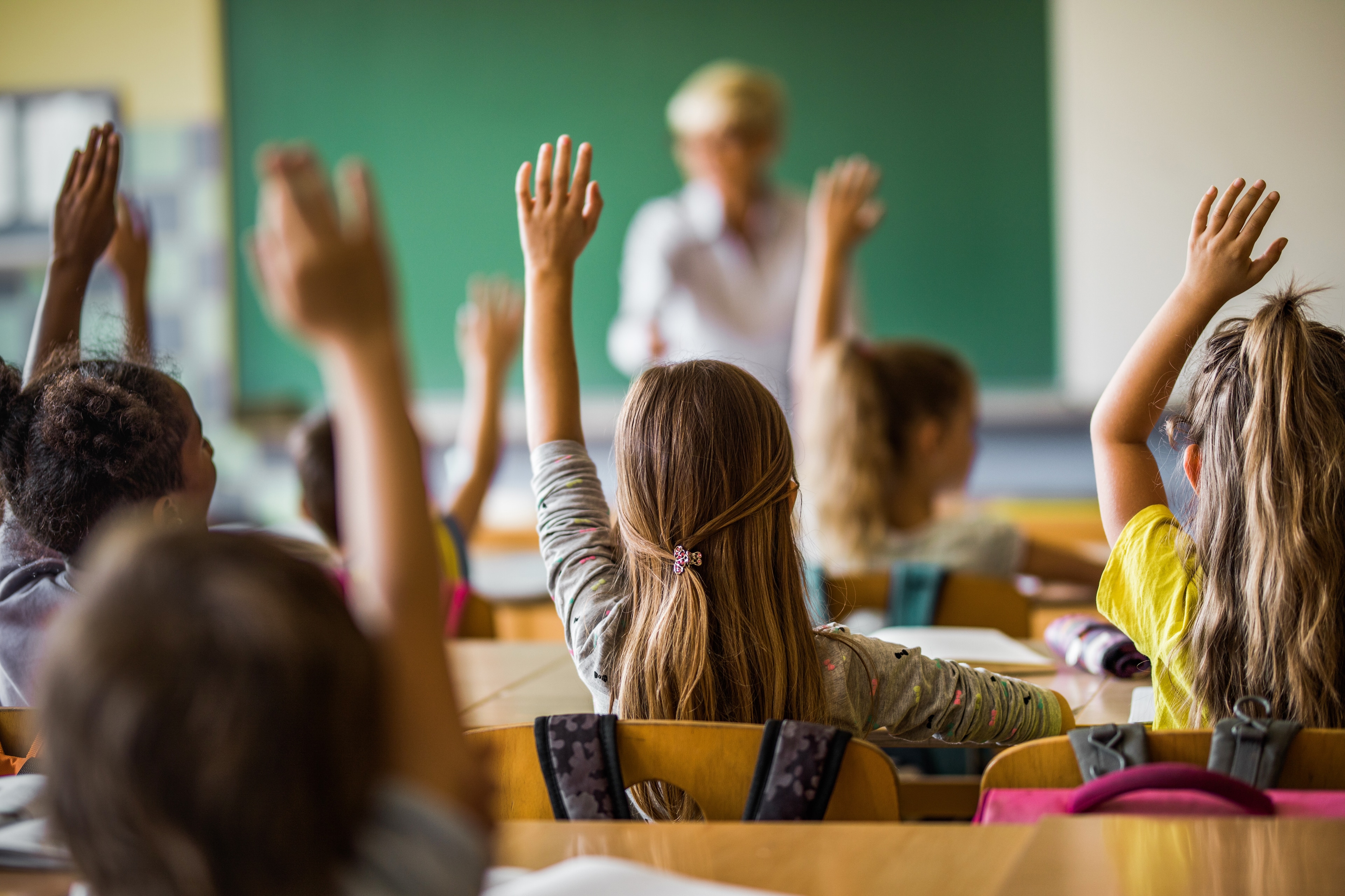 Rear view of large group of students raising their arms to answer the question on a class at elementary school. Teacher shortage, financial technology