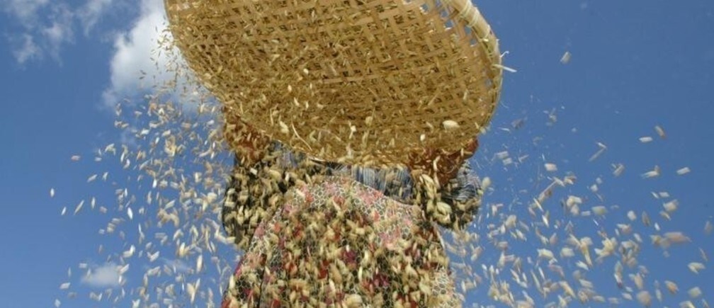 How can we strengthen food security in South-East Asia?