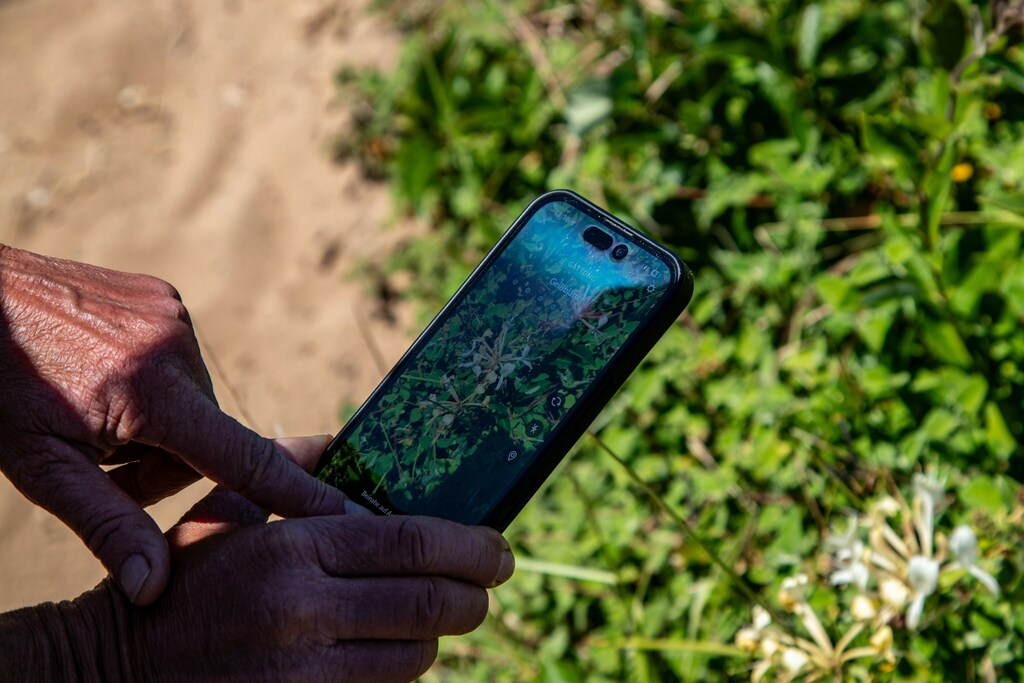 A farmer holds a smartphone in a field.