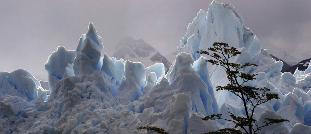 What are the economic consequences of climate change?