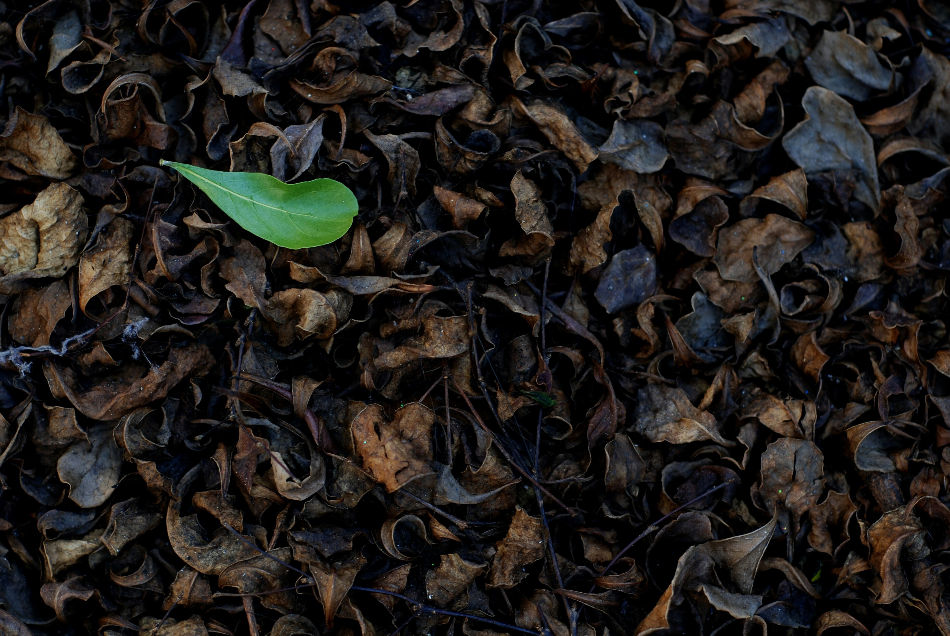 Leaders who are more conscious in their behaviour can better collaborate to achieve meaningful change