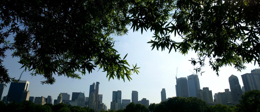 我们如何建设未来的绿色城市？
