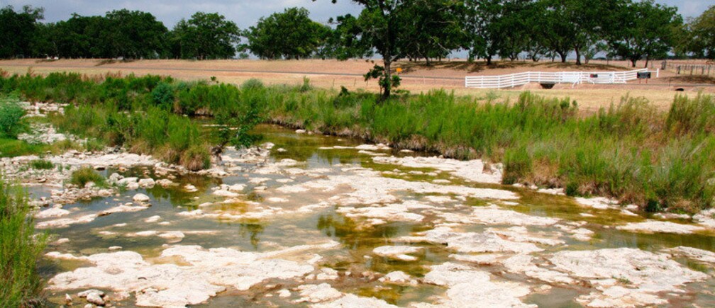 Making the Business Case for Conservation