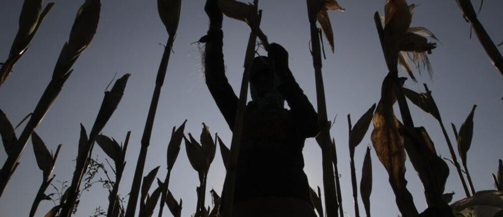 Challenges to food security in East Asia
