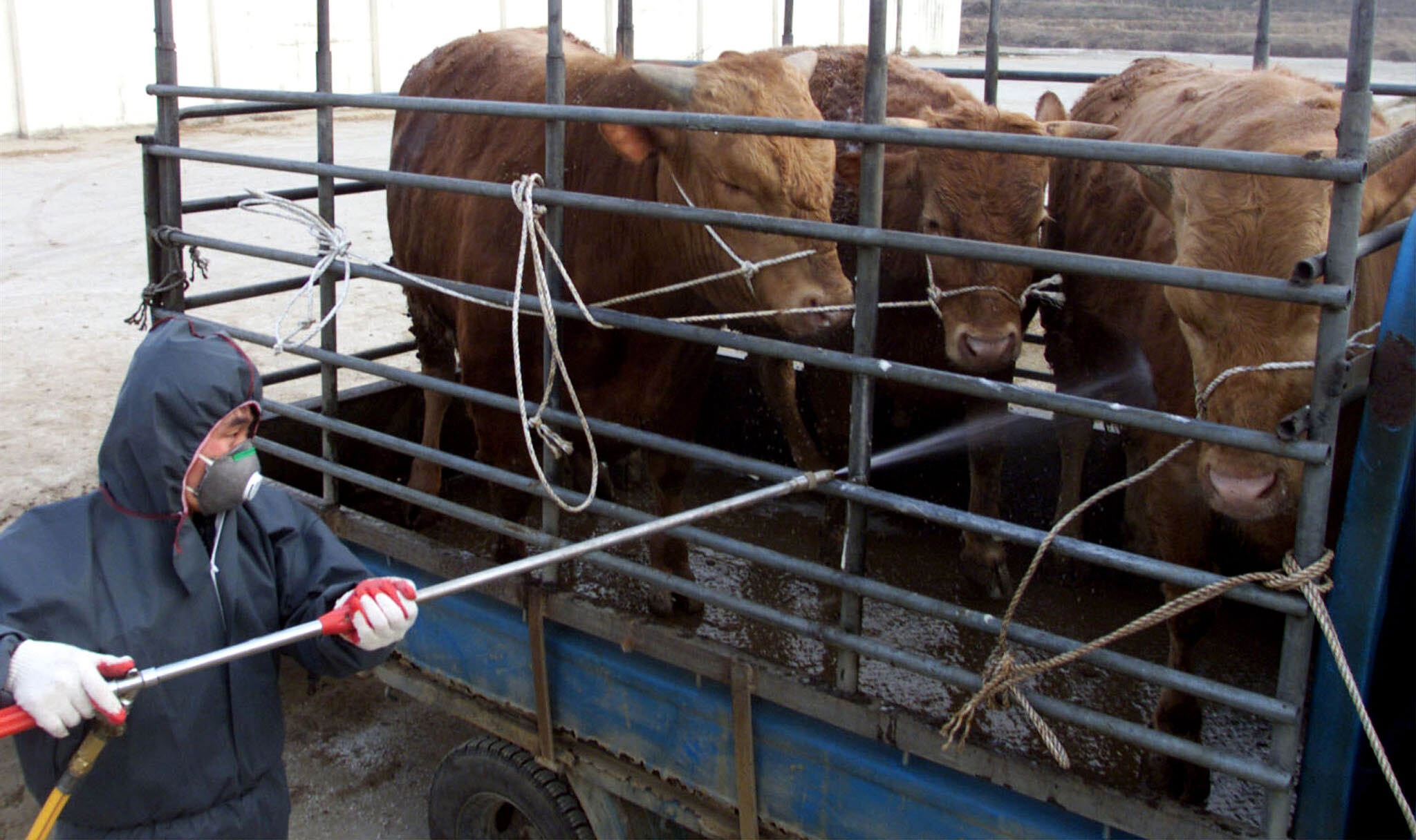 Biosecurity threats – from agriculture to AI – are on the rise, but a series of governance initiatives are providing a response.