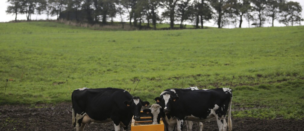 The impact of livestock on climate change