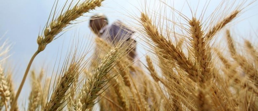 How do we change the way the world is fed?