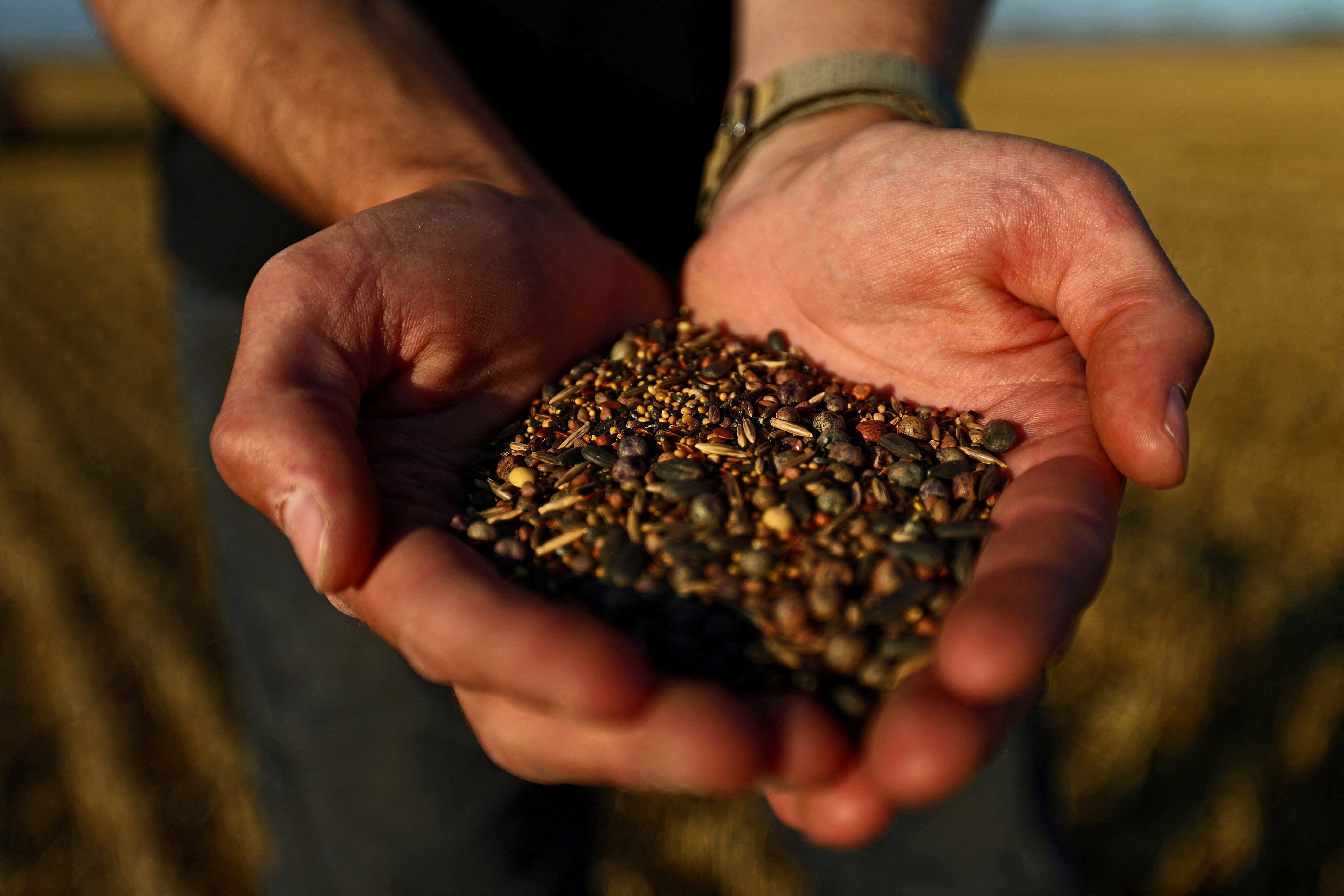 Regenerative agriculture can improve the lives of farmers, help fight climate change and give us all better food to eat. So what's the hold up?