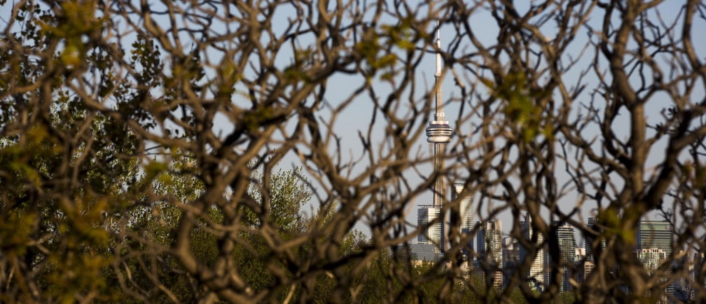 The CN Tower is seen through branches at Tommy Thompson Park located on a man-made peninsula known as the Leslie Street Spit, in Toronto May 24, 2015. It was created over 60 years ago by the dumping of dredged sand, concrete chunks and earth fill, expanding what was once just a thin strip of land in the city's busy harbor. An unexpected urban oasis, the development brings marshes, lagoons and forests to the centre of Canada's largest city. REUTERS/Mark BlinchPICTURE 9 OF 29 FOR WIDER IMAGE STORY "EARTHPRINTS: LESLIE STREET SPIT"SEARCH "LESLIE SPIT" FOR ALL IMAGES - GF10000216969