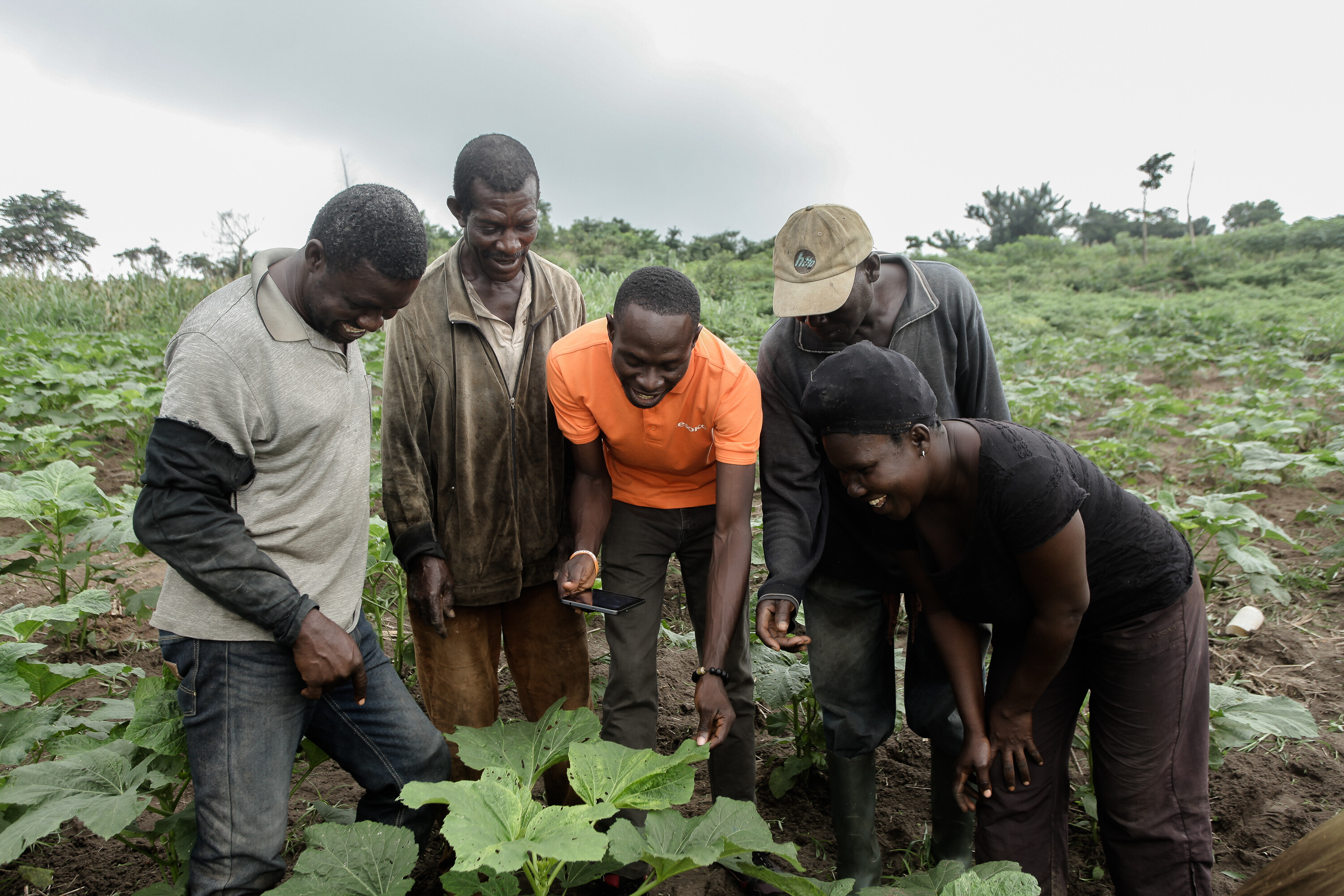 In a landmark move, African Union Heads of State adopted the continent’s first 10-Year Strategy on the Social and Solidarity Economy.