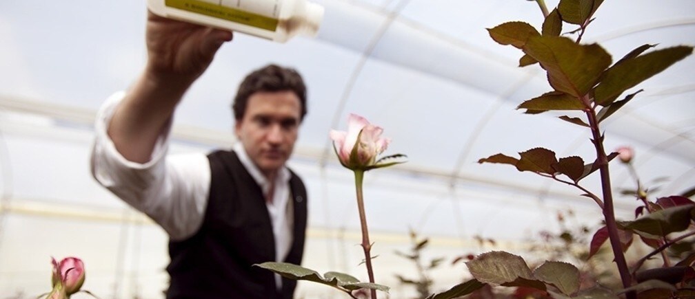 Avoiding the perfect storm: Implementing sustainable agriculture in developing countries