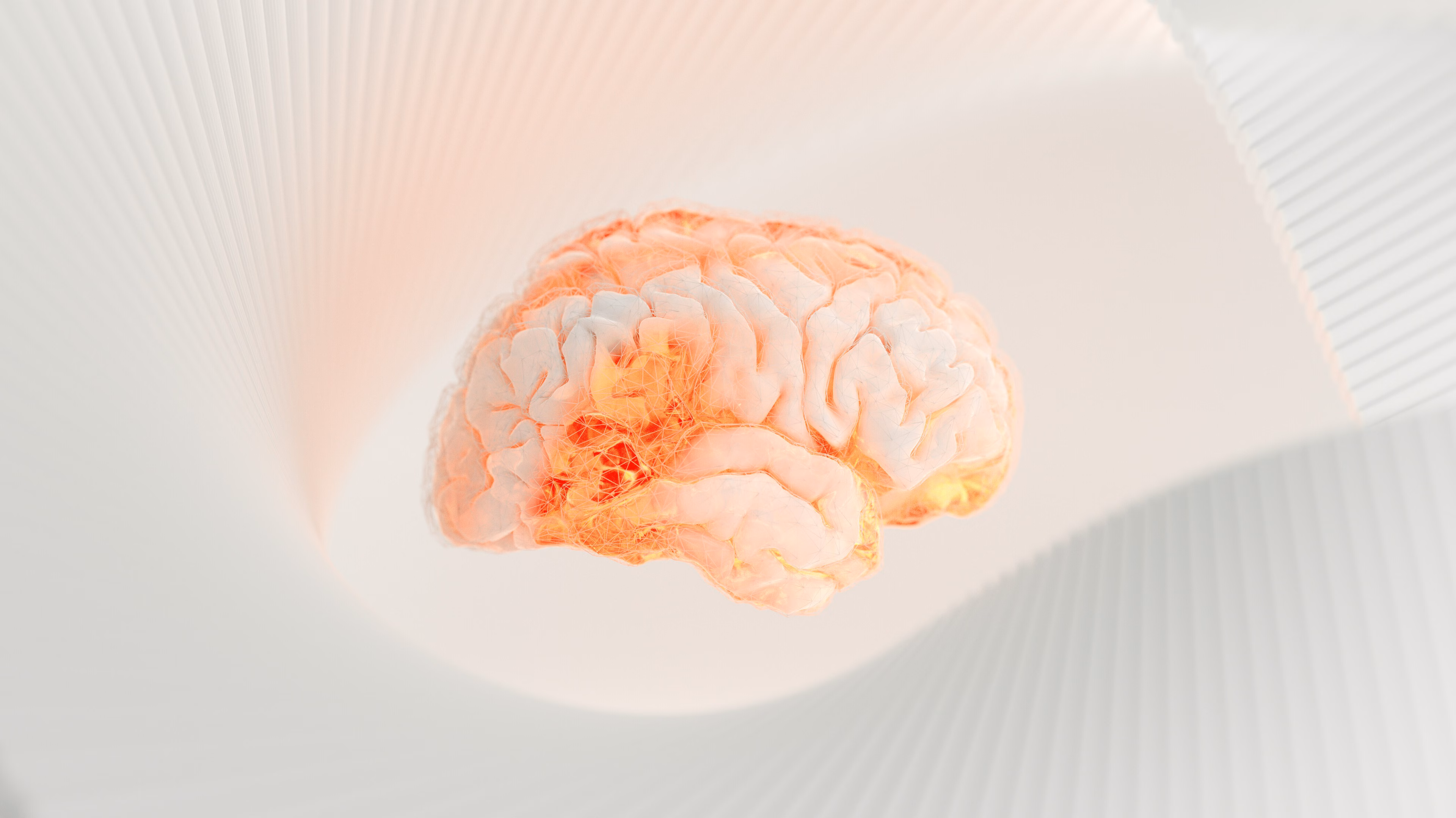 Primer plano de un cerebro.