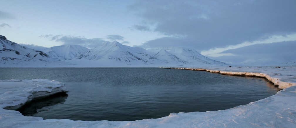 3 ways you can save the Arctic ice