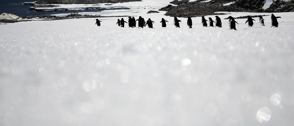 Why has a once-stable Antarctic region suddenly started melting?