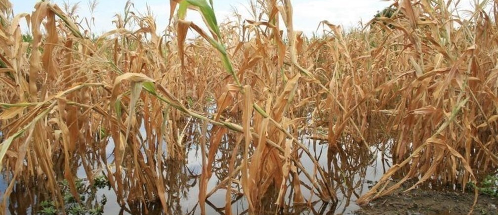 One smallholder’s warning for farming in Africa