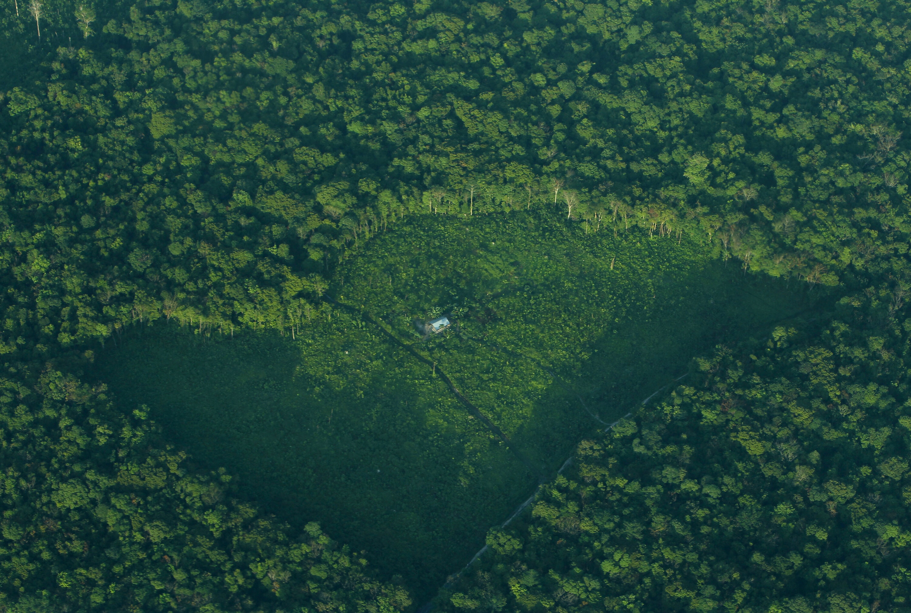 An aerial view of a clearing at a forest in Indonesia's Sumatra island, August 5, 2010: Positive conversations around forest restoration has occurred recently