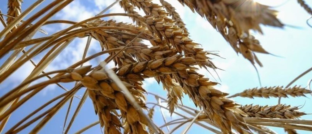 Where are food supplies most at risk from climate change?