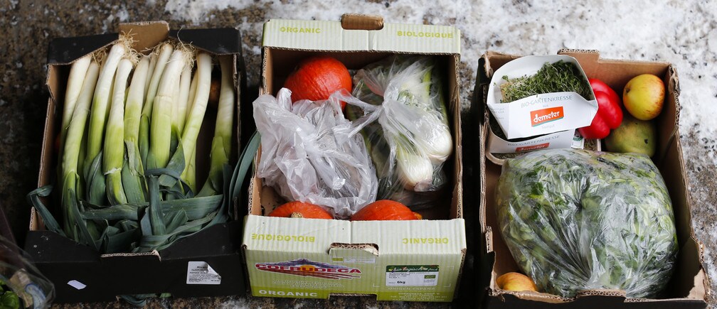 フランスは食品ロス問題の解決策を見出したのか？
