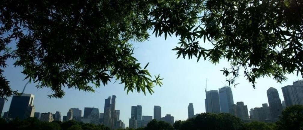How can we make our cities carbon-free?