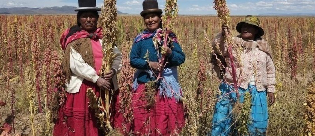 ¿Por qué es importante empoderar a las mujeres para el desarrollo rural?