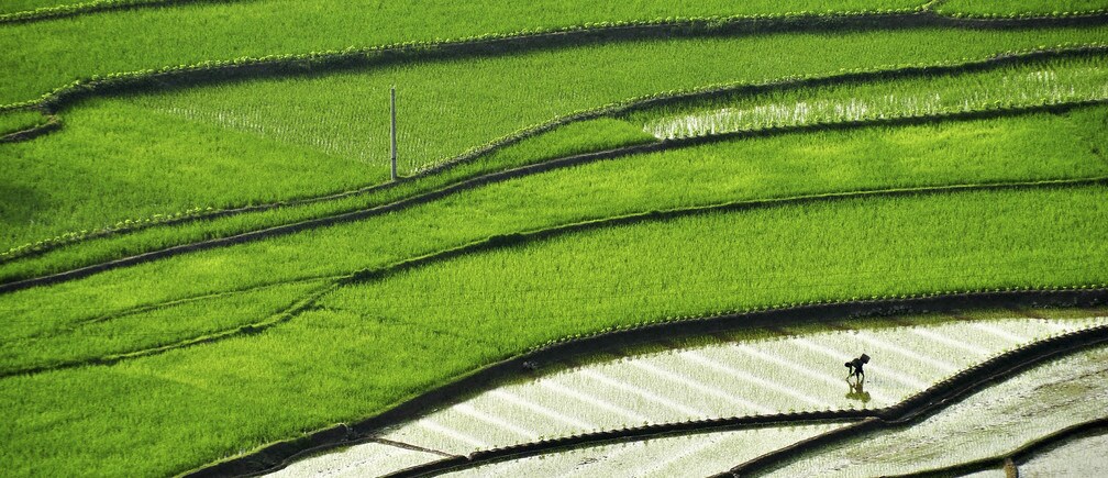 Defining the future of agriculture