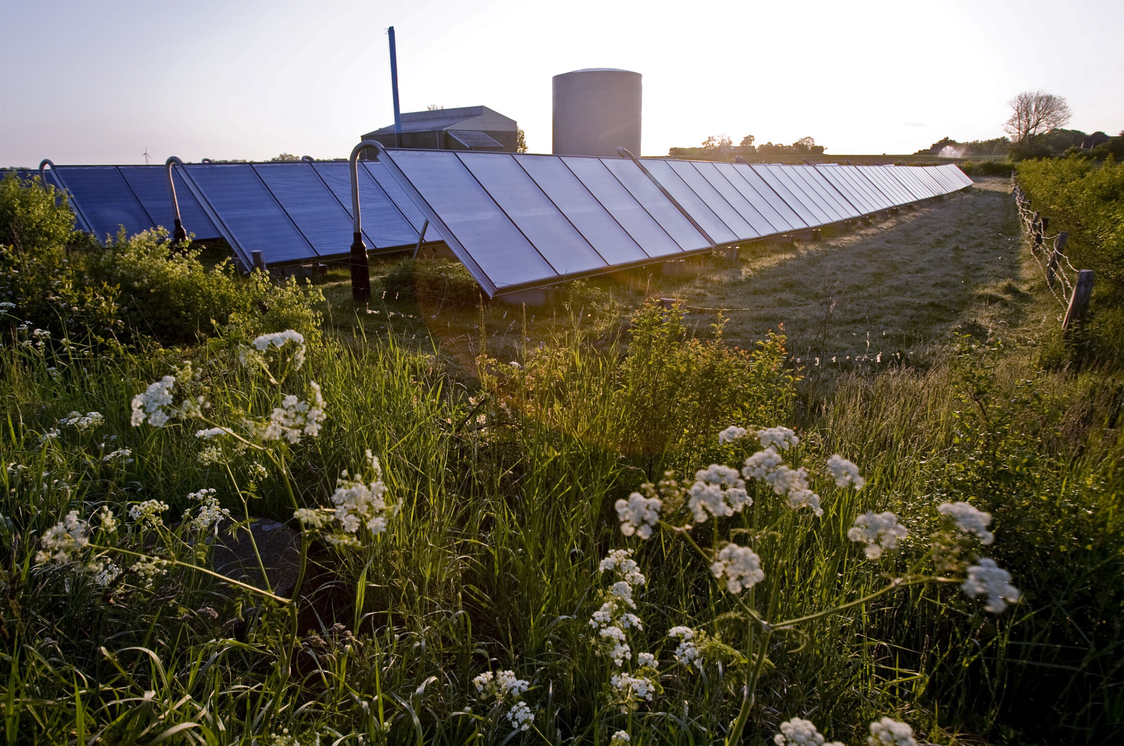 Rows of solar panels sit in a pasture near Norby on the Danish island of Samso May 20, 2008: Focusing on supply chain inefficiencies can address sustainability and profitability.