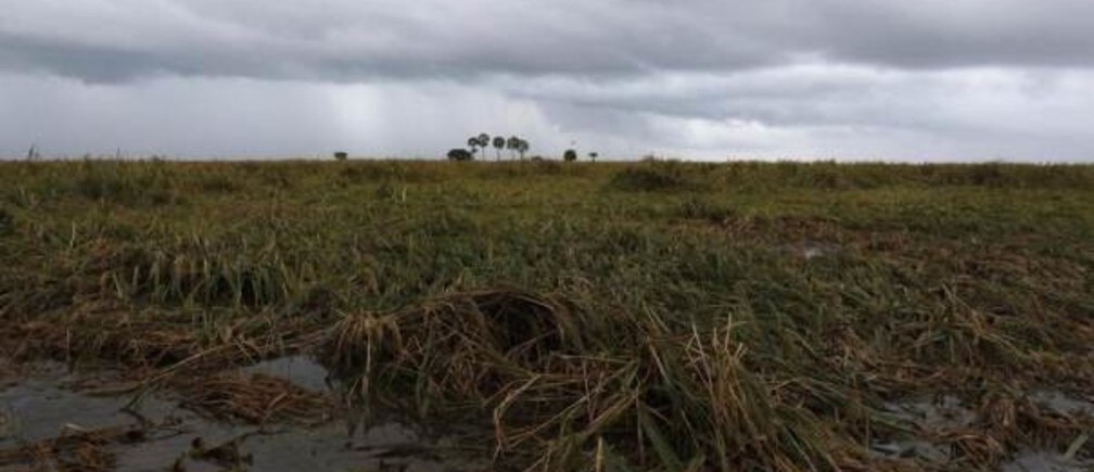 The mobile technology helping Sri Lanka cope with climate change