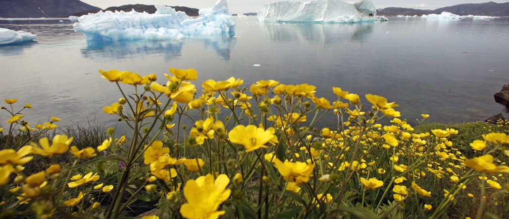 Fight against global warming needs stronger political leadership