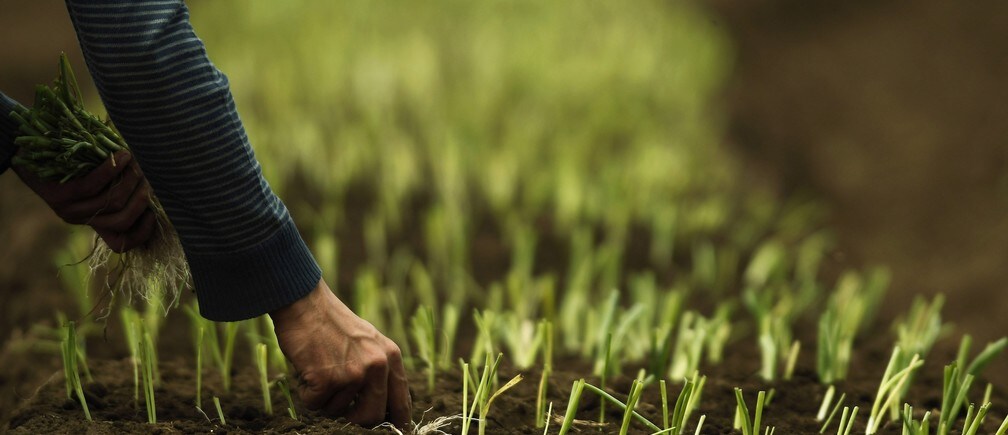 Can the world buy its way out of hunger?