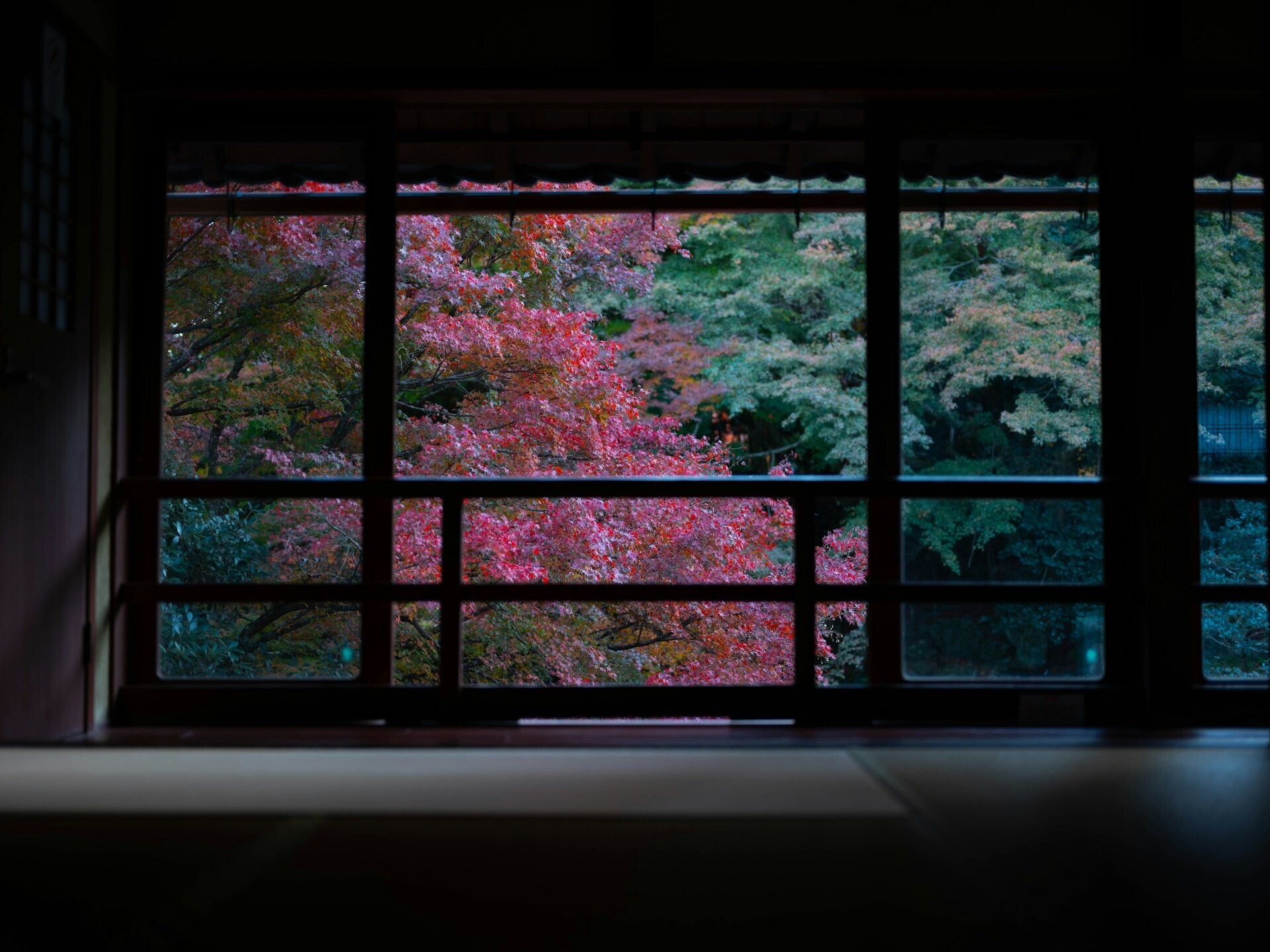 Beautiful flowers and greenery seen through a traditional Japanese window.