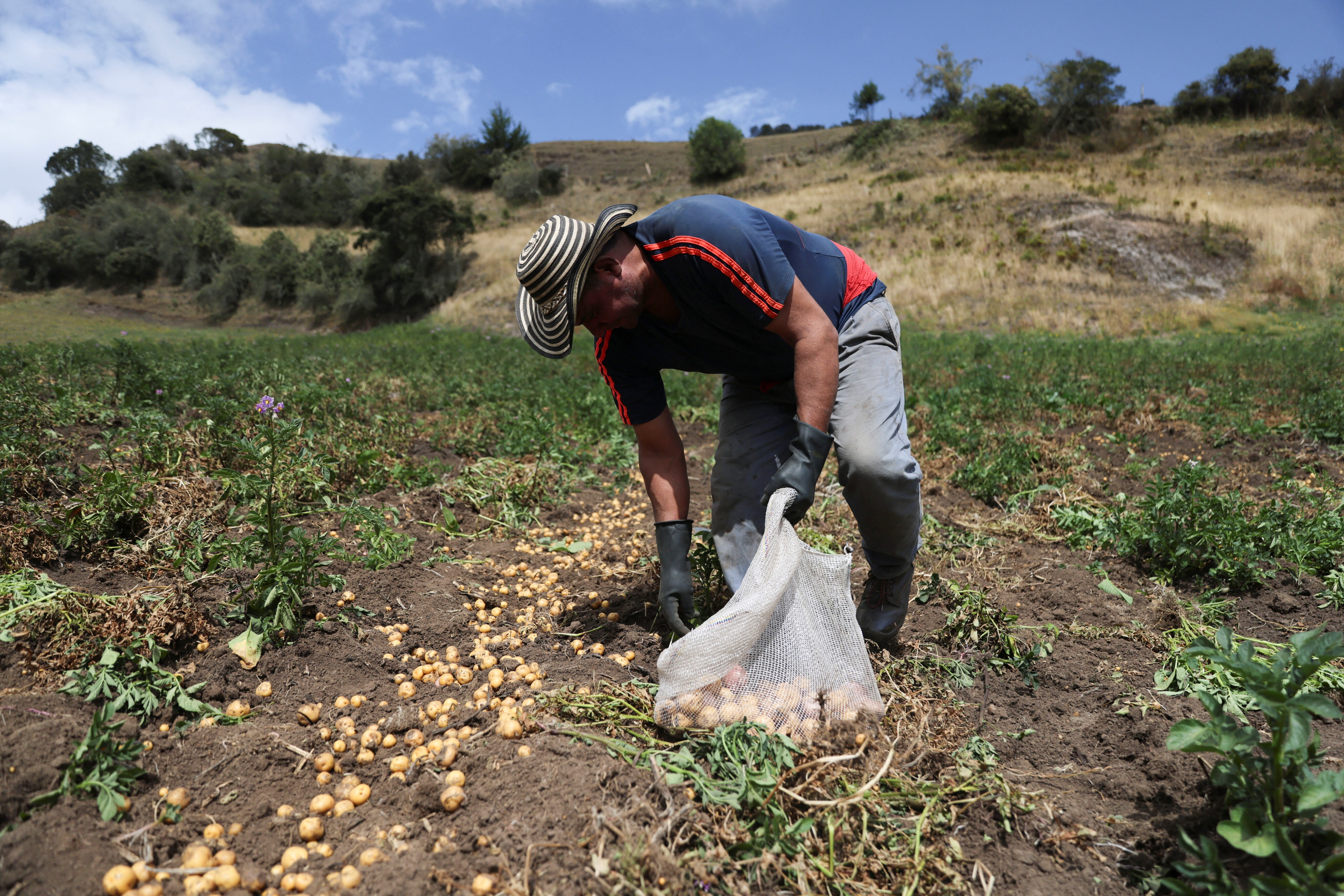 We need to reduce emissions in the food system, while maintaining yields and supply chain reliability.