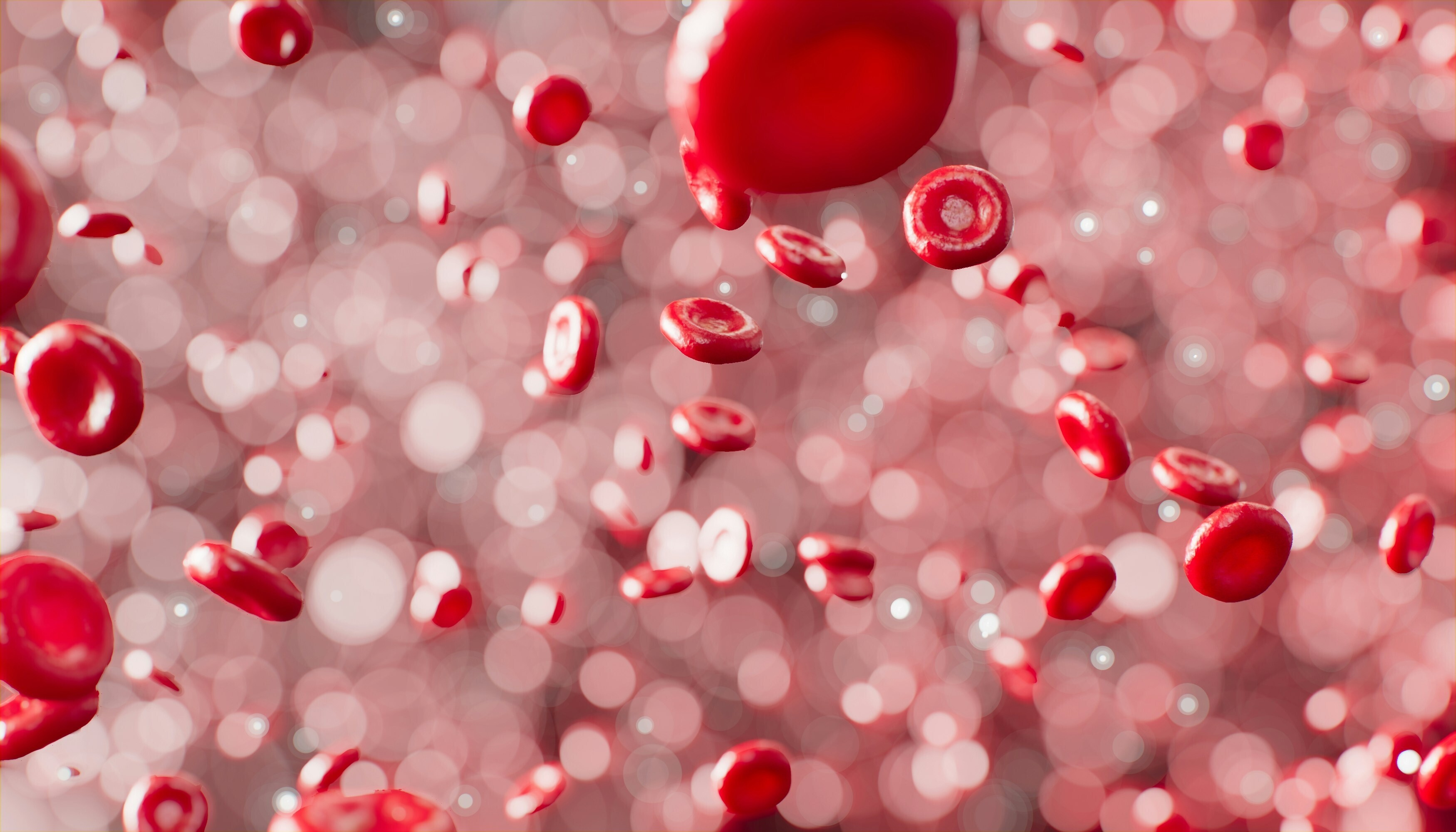 Red blood cells.