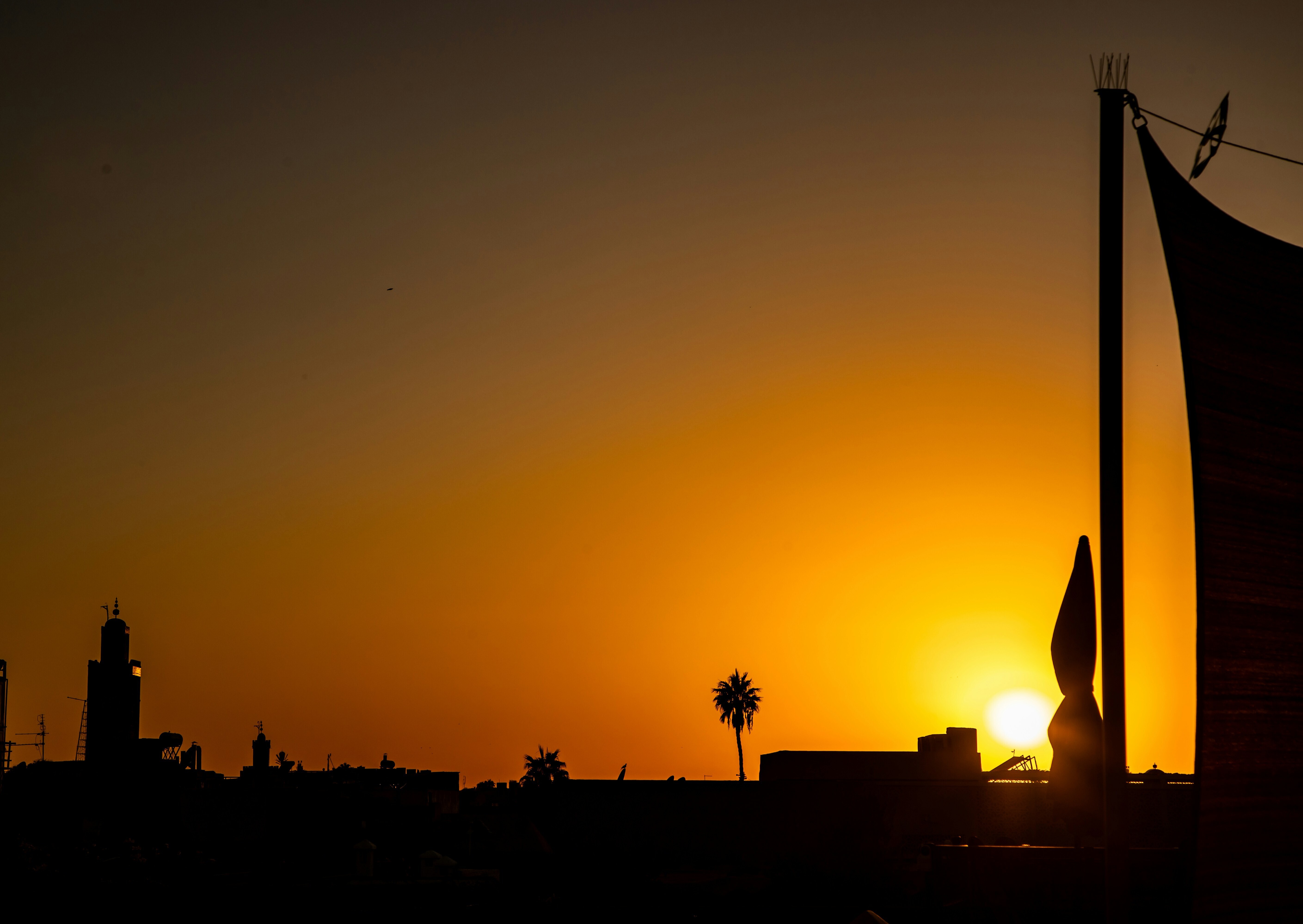 A sunset image over a silhouetted city with a palm tree: Diversification is driving growth in MENA but inclusion and sustainability across the region remains a challenge