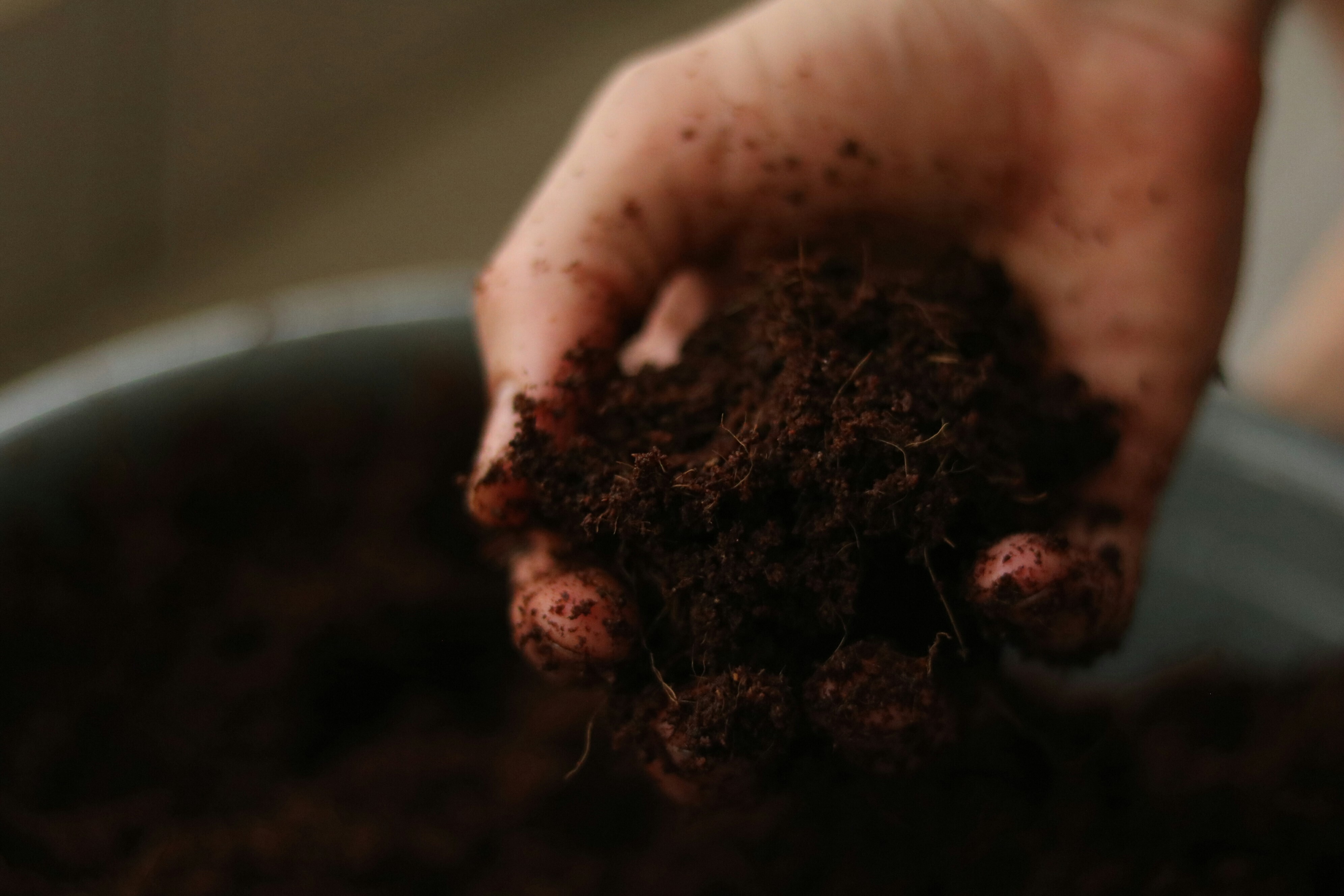A hand having picked up soil near the earth: Healthy soils can have impacts beyond farming