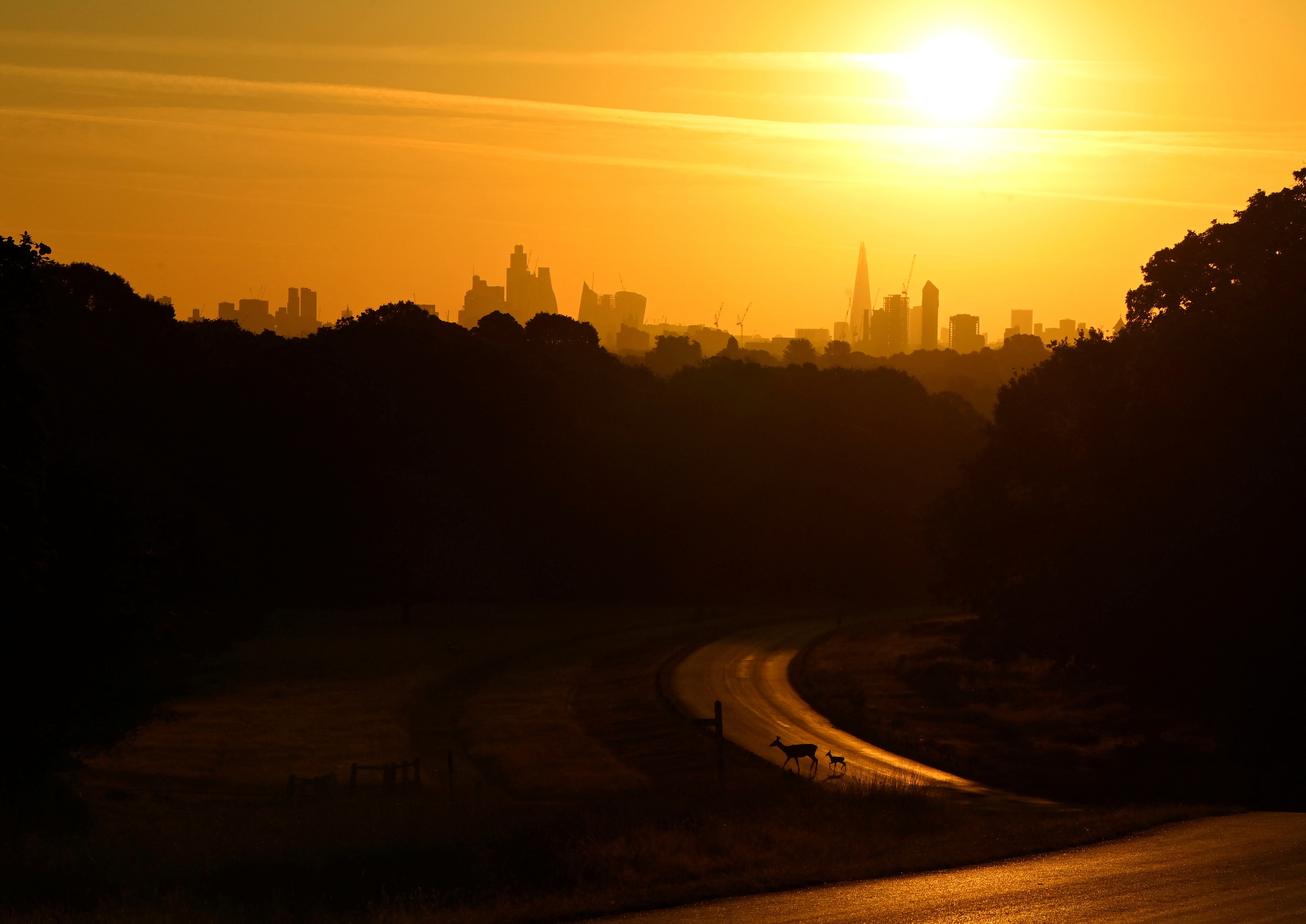 This round-up contains some of the key nature and climate news from the past week.