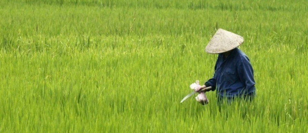 Why South Asia needs help with climate change