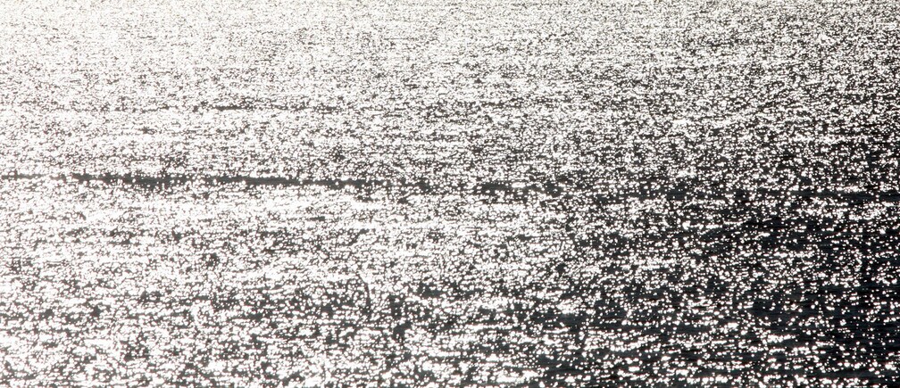 Should we ban fishing on international waters?