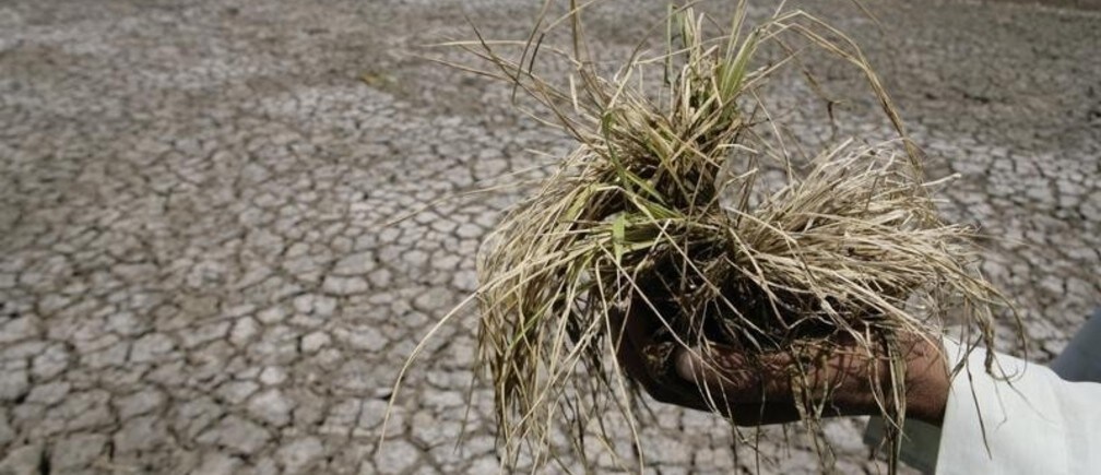 How to help farmers survive climate change