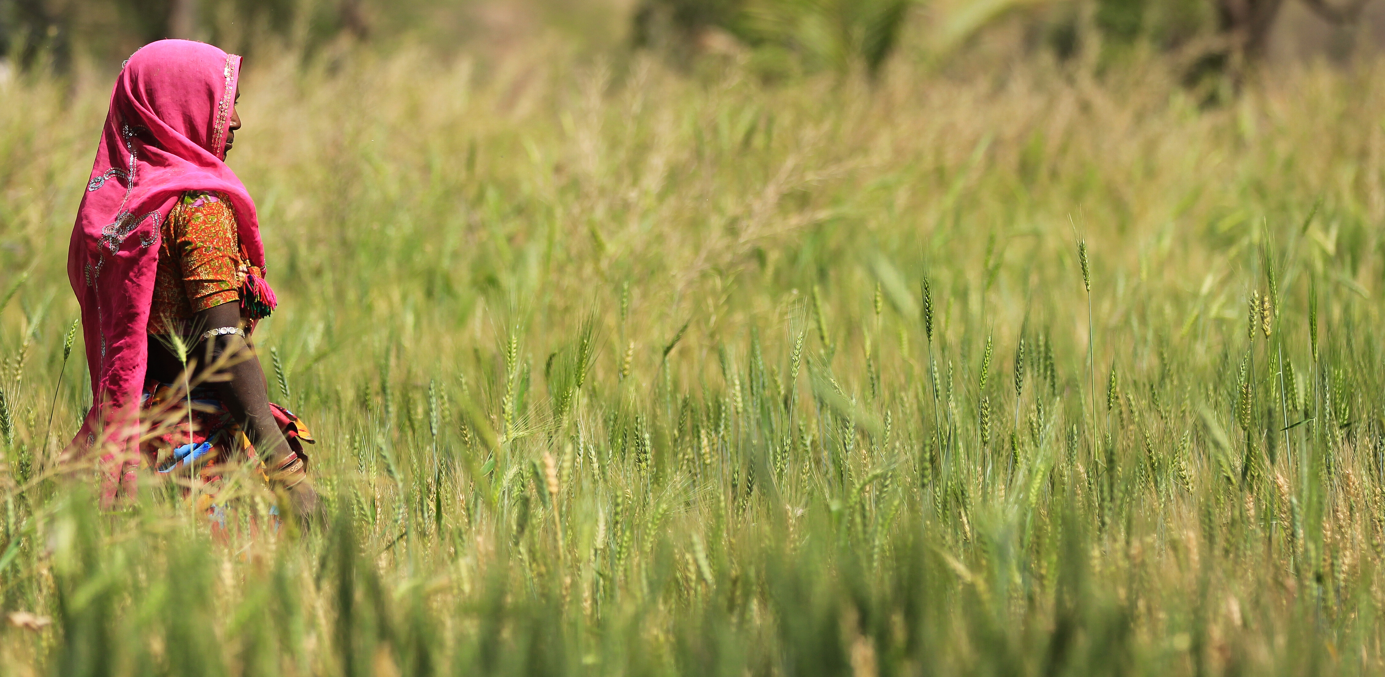 Woman Farming; AI for nature