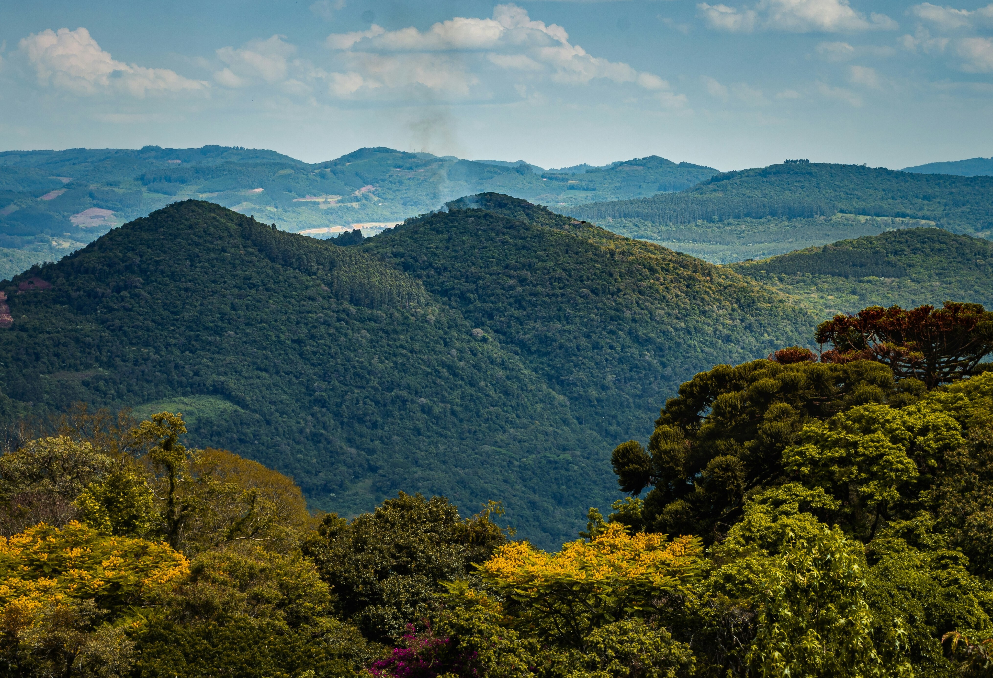 COP30 in Bélem, Brazil, has been hailed as a 'implementation COP'.