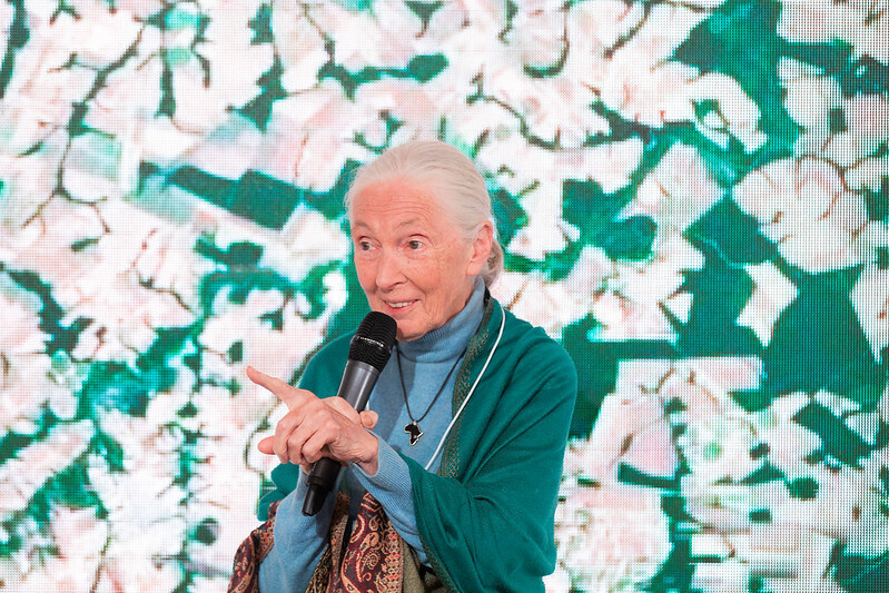 Dr. Jane Goodall, DBE, Founder - the Jane Goodall Institute & UN Messenger of Peace during the Session "Close Encounters with Jane Goodall and Skye Meaker" at the Annual Meeting 2019 of the World Economic Forum in Davos.
