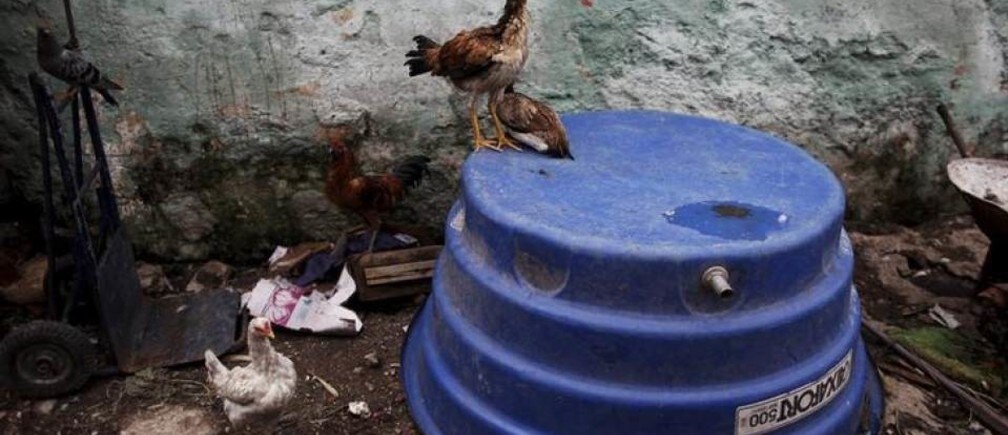How agriculture is threatening water security in Latin America and the Caribbean