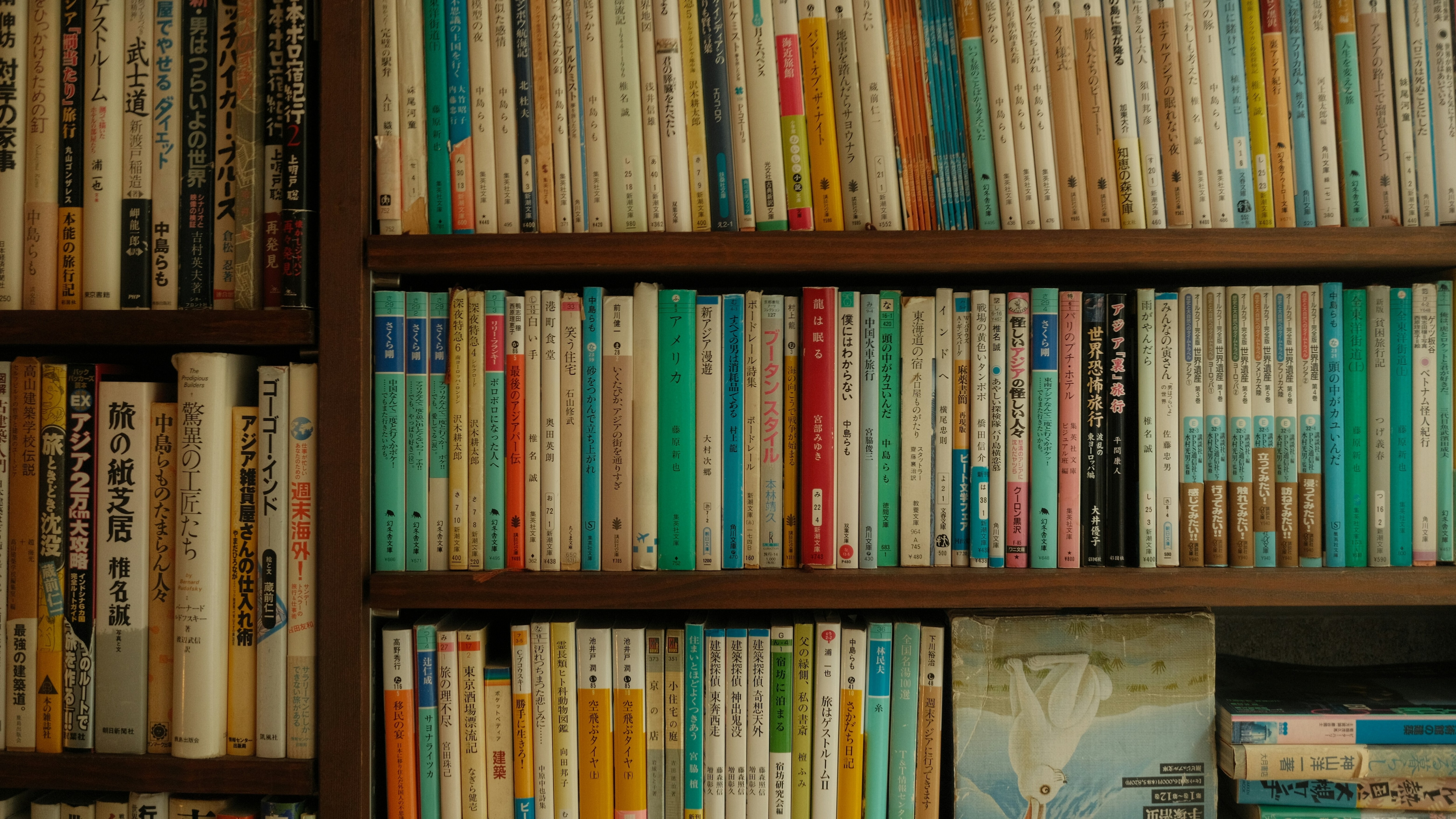 A shelf of books, common in libraries
