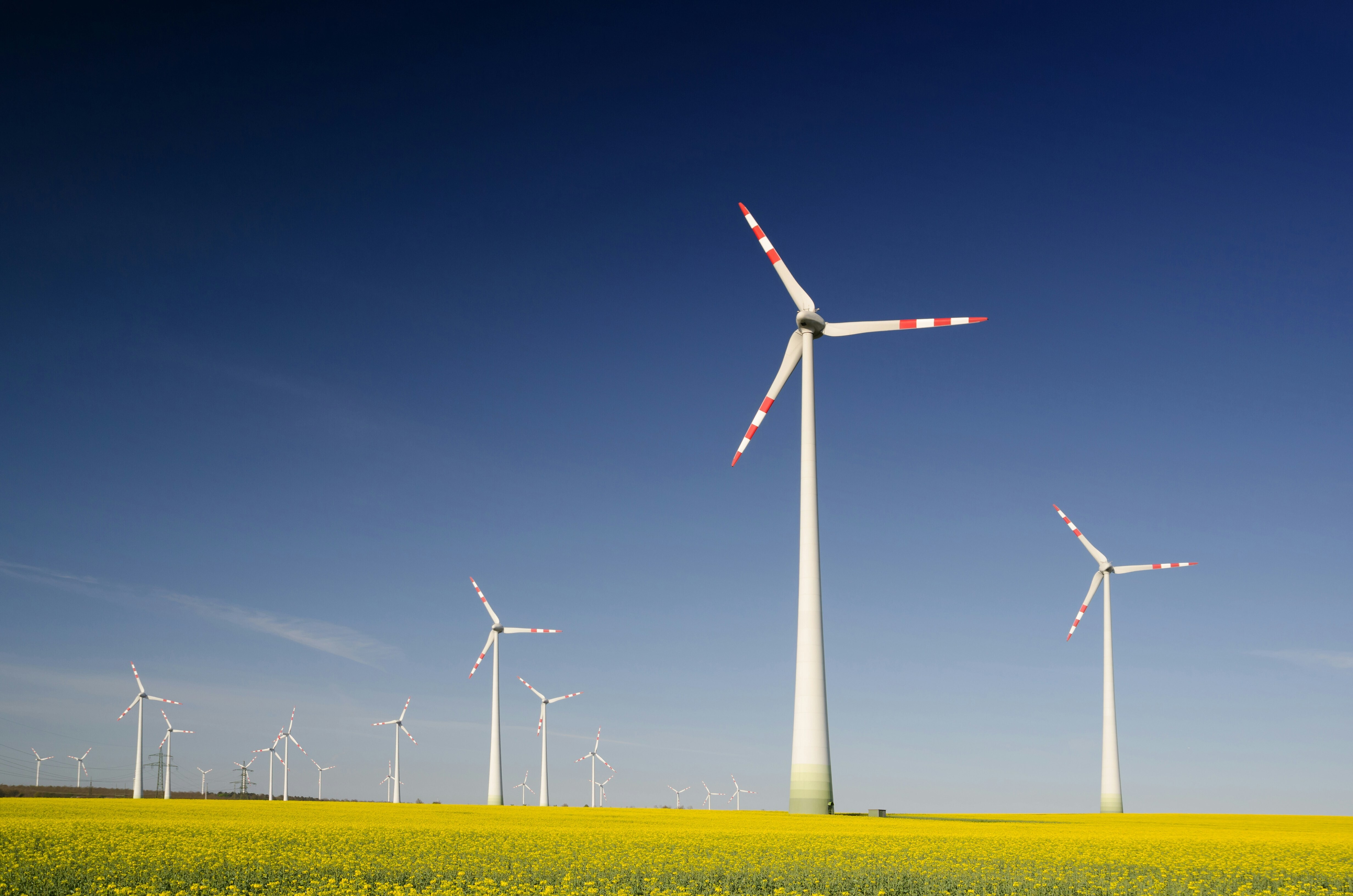 Wind turbines against a blue sky: How do we get to a net-positive AI energy future?