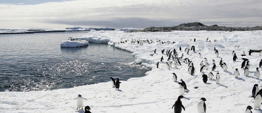 How do you measure the thickness of sea ice?