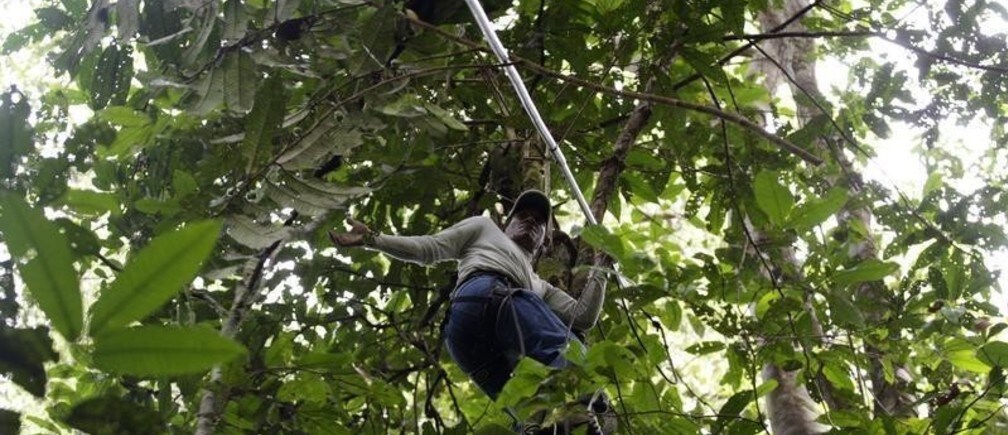 What the Amazon can teach us about sustainable development