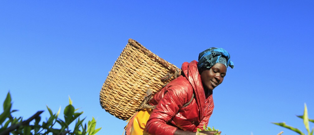 5 reasons to be optimistic about Africa